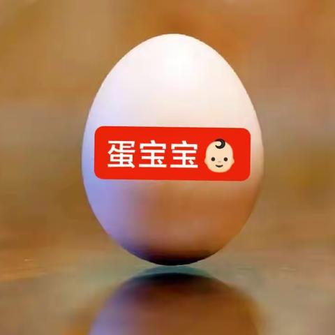 3月主题活动   《护🥚行动》