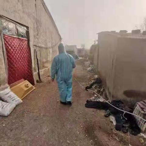 三农场加强消毒消杀，全力抗击疫情