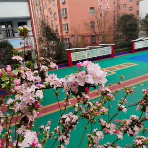 亮风采   促成长 ——南府店中心小学教研活动纪实（一）