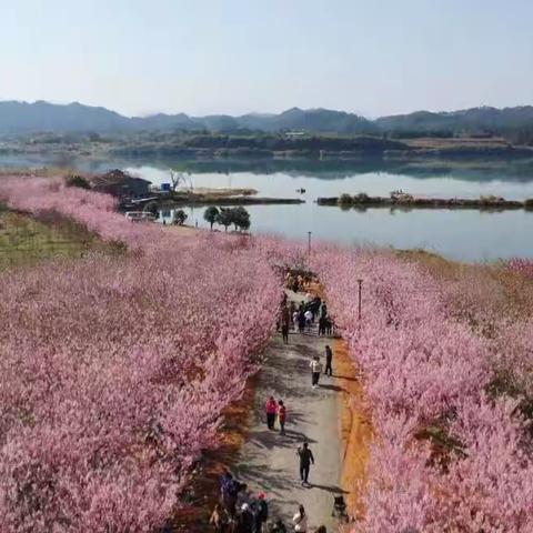 澧溪中学“三•八”妇女节活动