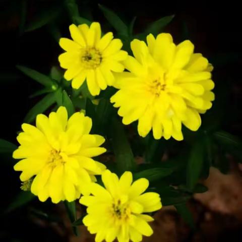 当生活按下暂停键---疫情后的思考