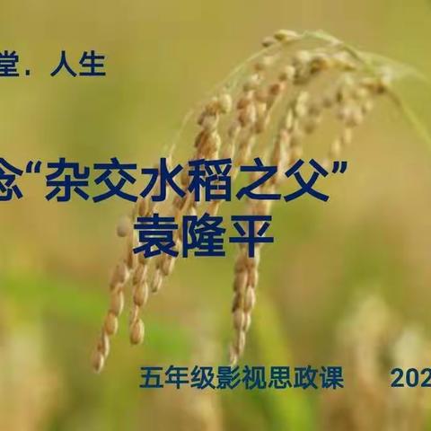 电影•课堂•人生---怀念“杂交水稻之父”袁隆平   五年级思政课