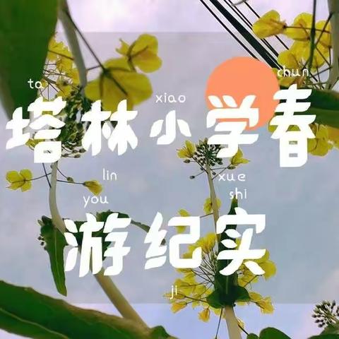 春光正好 行吟之游—————塔林小学春游纪实