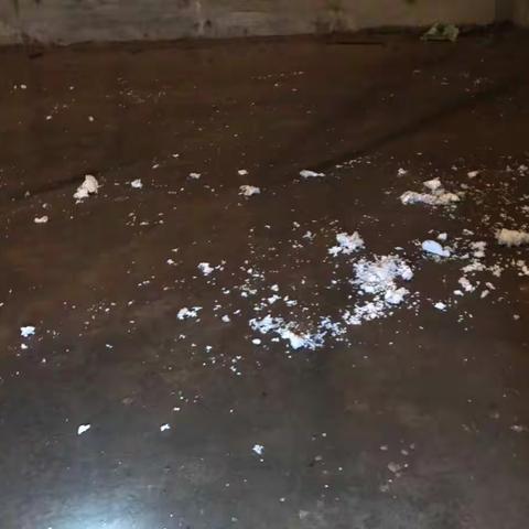 地下室须完成事项