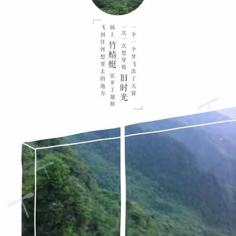 风和日暖，恩施恩源实验学校205班同学走进春天