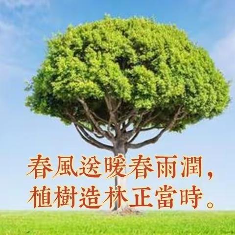 绿化校园   种植希望