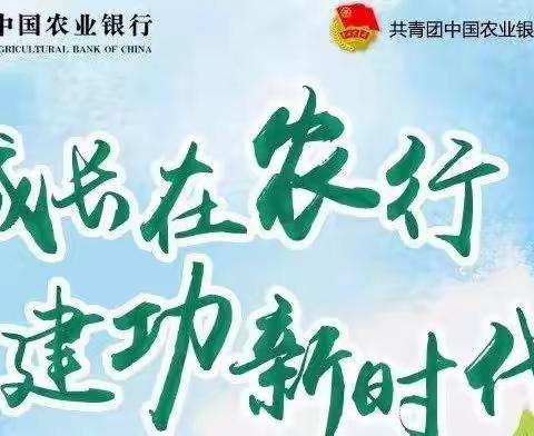 发挥青年力量 展现青年风采！——安丘支行团委开展周末外拓营销活动