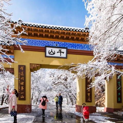 千山雾凇美如画