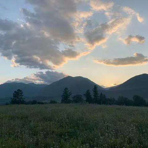 你的孩子，其实不是你的孩子