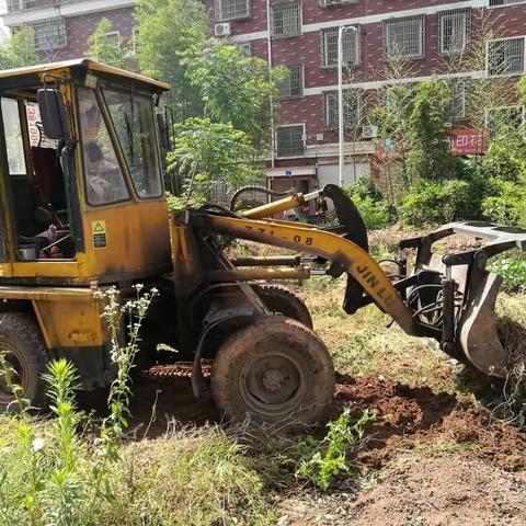 诚信社区全力以赴做好文明城市创建工作系列（三）