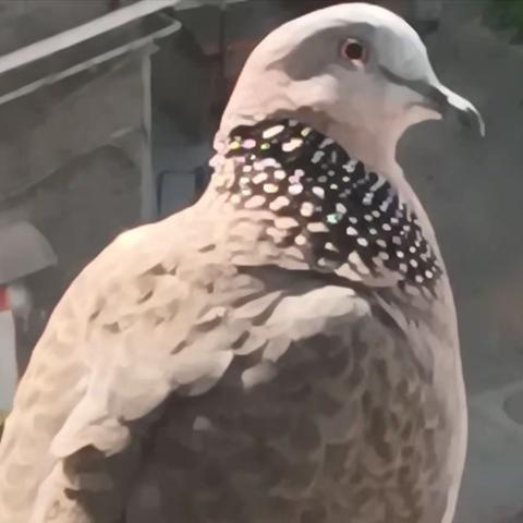 生   命