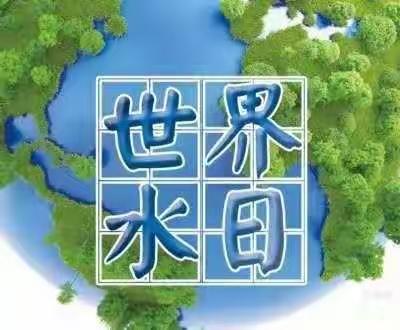 凤岗镇中心幼儿园——《3.22世界水日——节约用水》宣传活动