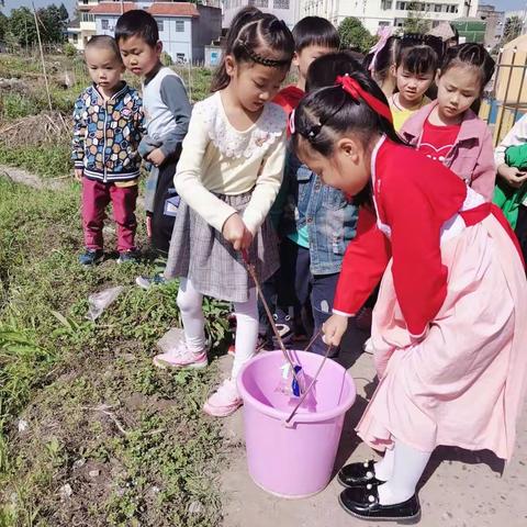 金果果幼儿园宝贝保护环境！