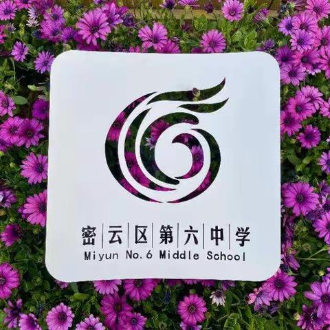 学无止境，蓄力前行——记密云区第六中学教师培训活动