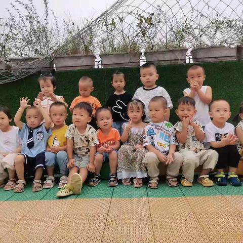 金贝儿幼儿园蒙豆一班开学第一周