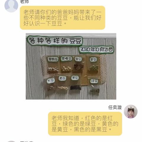 【塔温沐思•乐】《逗豆乐》——记双语小二班学习故事