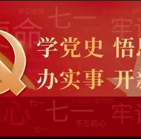 学党史 悟思想 办实事 开新局