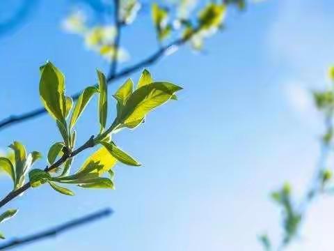 让教具成为老师的帮手 学生的朋友 ——温宿县吐木秀克镇中学第一届教具展示活动（下篇）