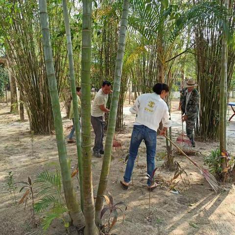 江边村开展人居环境卫生整治