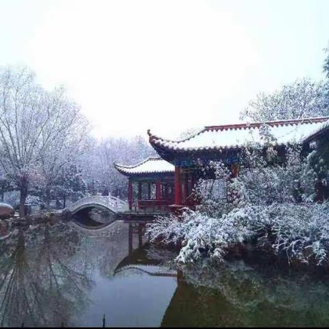 深耕细研精学情 共谱示范新美篇——永济三中语文组示范课展示