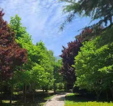 提质深耕课堂  引领一路芳华——永济三中语文学科示范课活动总结