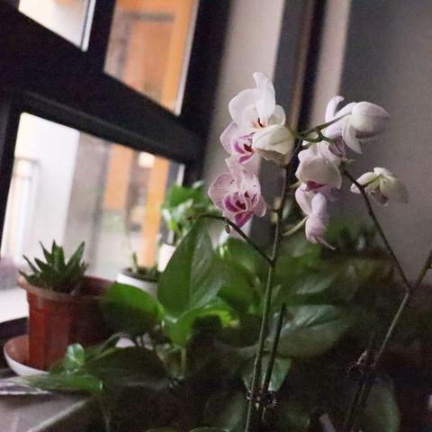 班级建设，贵在熏陶