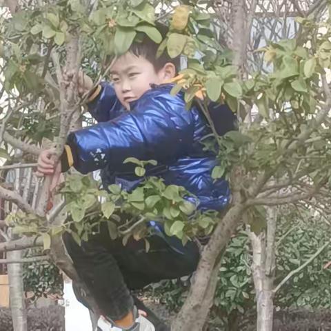 给儿子的家书
