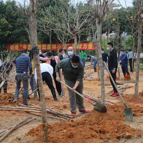 洒下绿色   播种希望——大涌镇旗北小学开展植树节活动