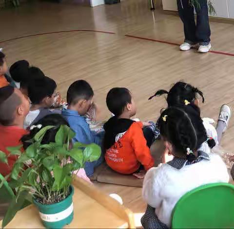 泸西县爱丁堡幼儿园“清明、插柳”主题活动分享篇