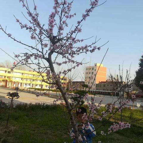 春光好时节，学习一起来