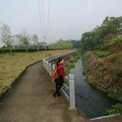 4月5日，看家门口的美景。双利村。