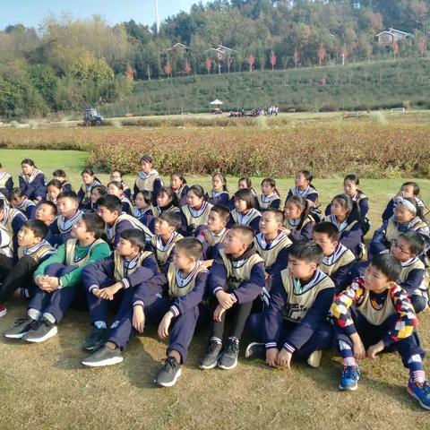 且随冬阳去研学