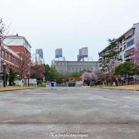 美丽鸣中欢迎你