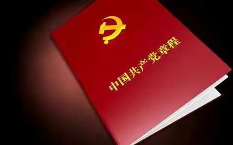 提意见,找问题,促进教育质量提高―第八小学党支部专题组织生活会