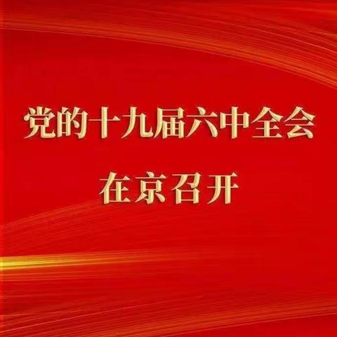 新丰街镇学习贯彻党的十九届六中全会精神