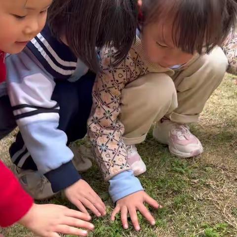 岑巩县实验幼儿园小四班第3周小结