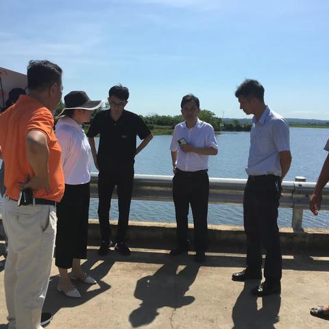 林山副区长参加企业招商引资调研座谈会