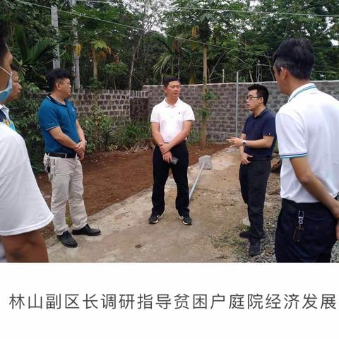 龙华区开展“庭院经济+实用技术培训”，为贫困户增收传经送宝