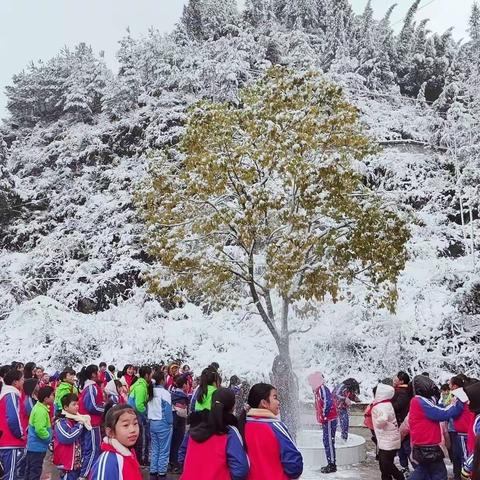 板场镇二完小“校园雪景”