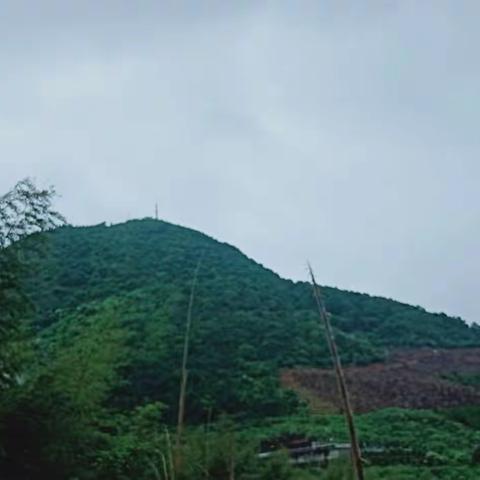 不负春光.踏青时