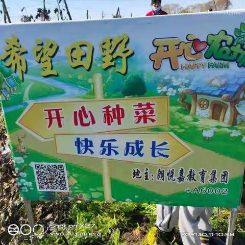 凯轩幼儿园果一班开心农场拔胡萝卜活动