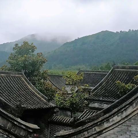 云低处，青山隐。