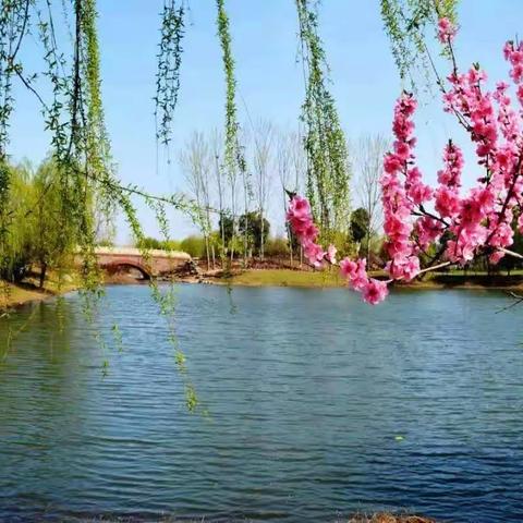 和风伴暖阳 欢聚春意浓