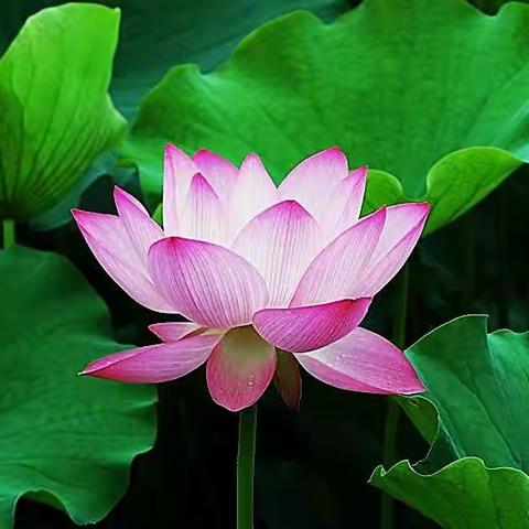 悠悠古韵忆童年