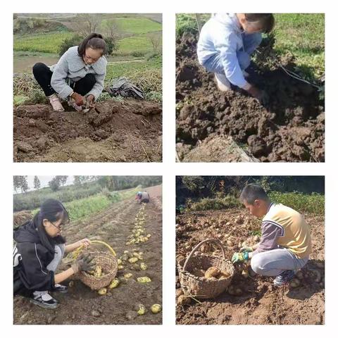 做家务 懂感恩 做最美学生 --记会川中学七6班国庆假期              学生家庭劳动