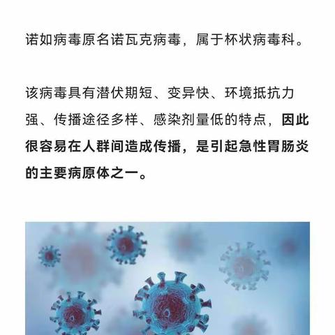 科学预防，健康成长—永宁县第四幼教集团玉泉营幼儿园甲流及诺如病毒科普