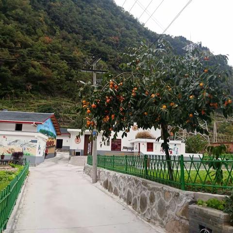 狮坪邹家院子乡村振兴示范点图集