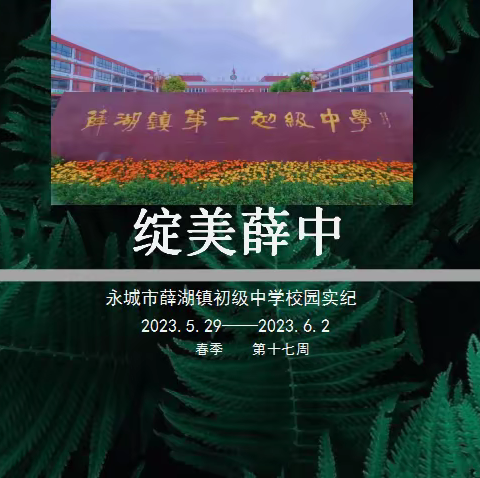 永城市薛湖镇初级中学校园纪实(2023.05.29~2023.06.02）