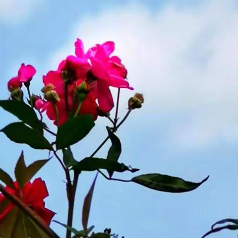 弱者抱怨，强者不言，智者改变