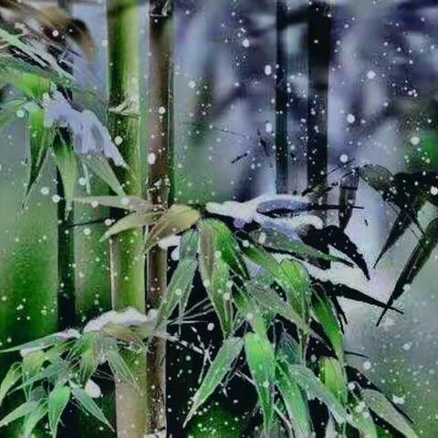 七绝•雪中竹